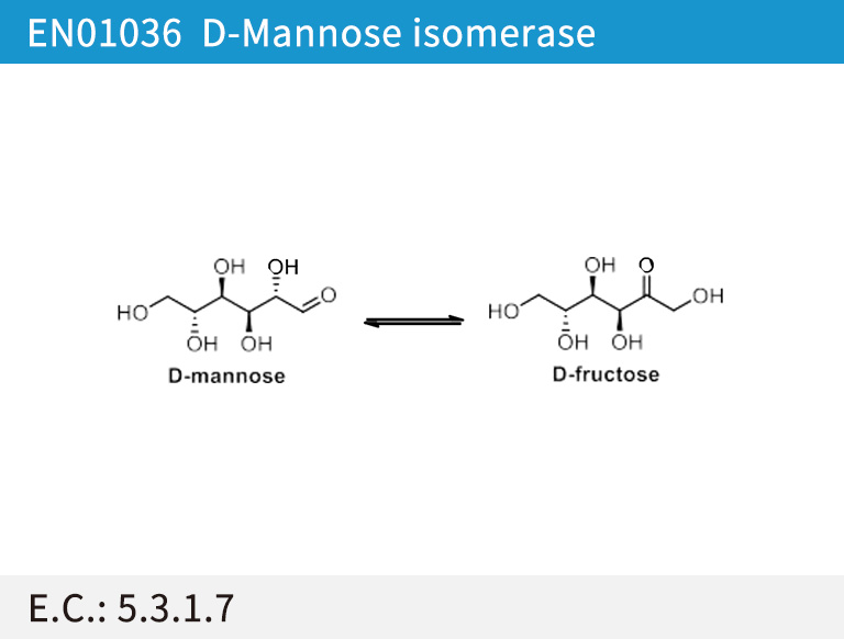 D-mannose isomerase