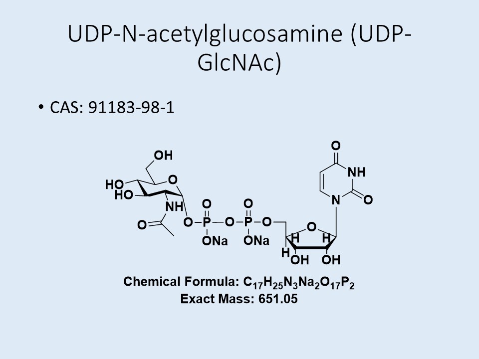 UDP-GlcNAc.2Na
