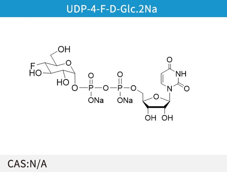 UDP-4-F-D-Glc.2 Na