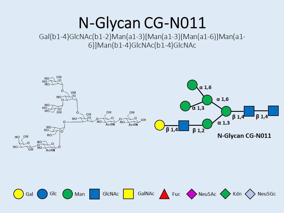N-Glycan-CG-N011
