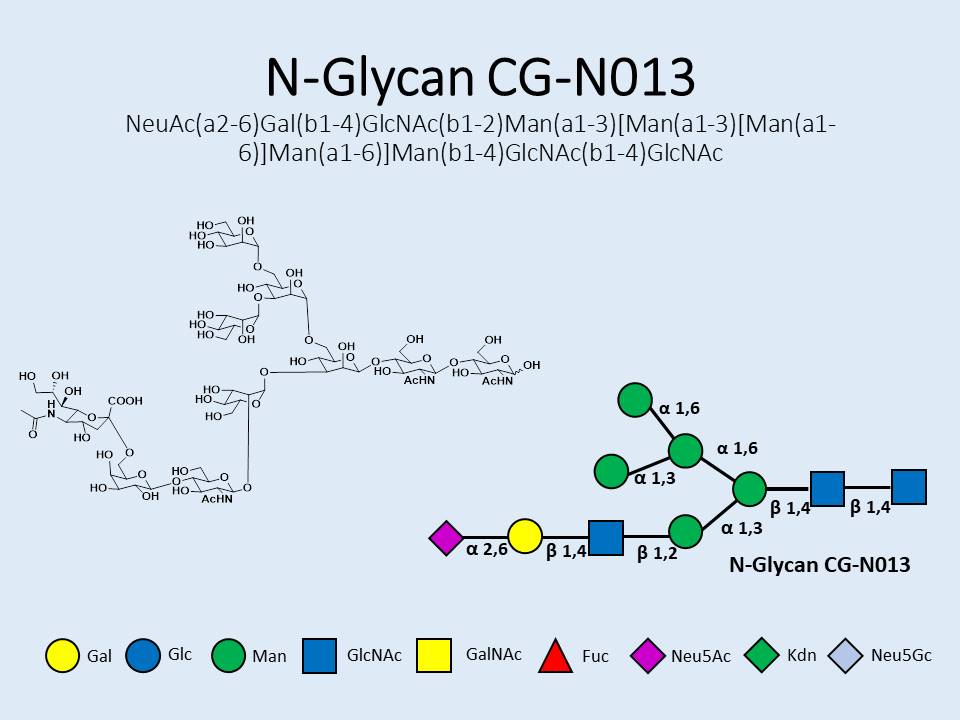 N-Glycan-CG-N013