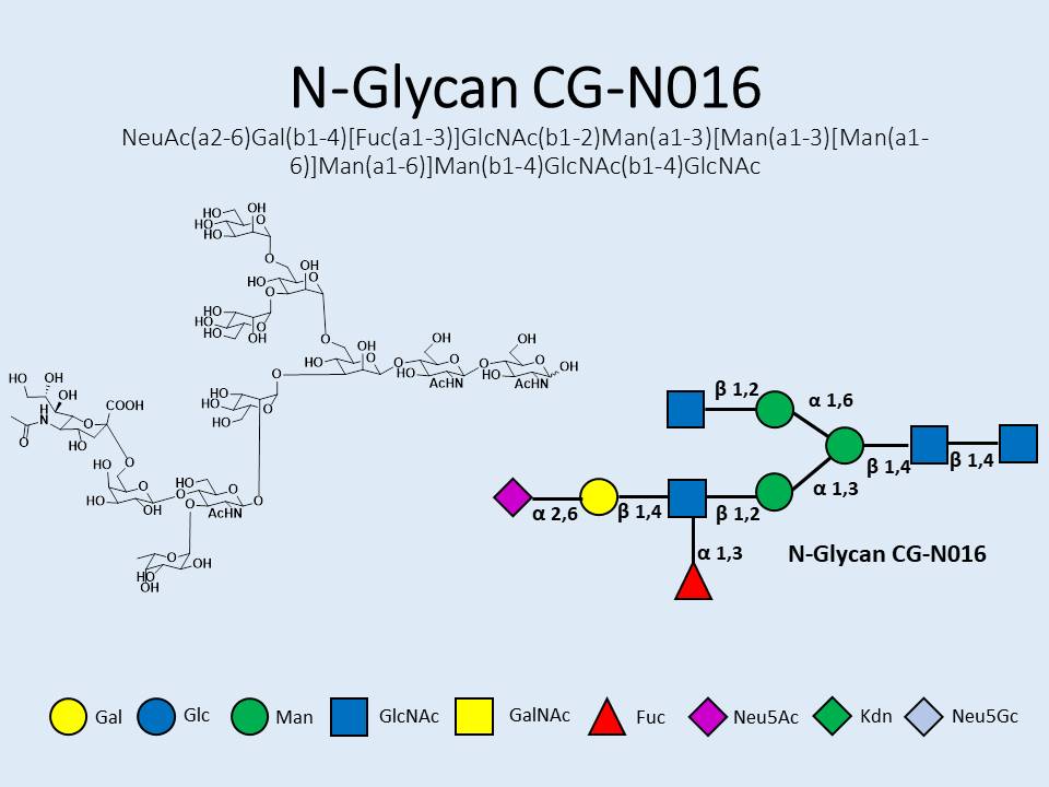 N-Glycan-CG-N016