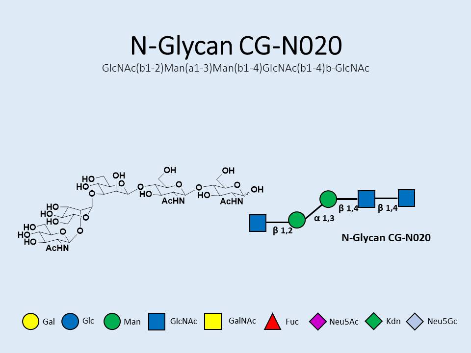 N-Glycan-CG-N020