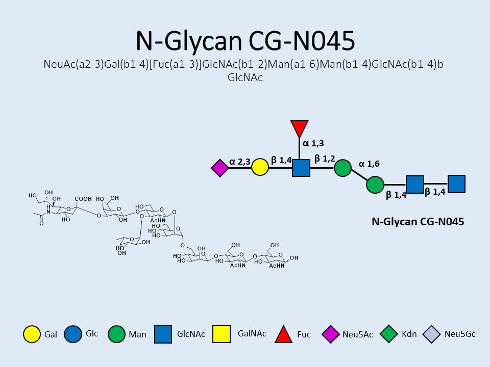 N-Glycan-CG-N045