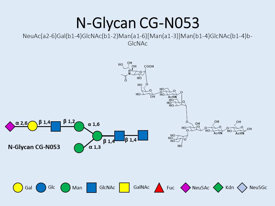 N-Glycan-CG-N053