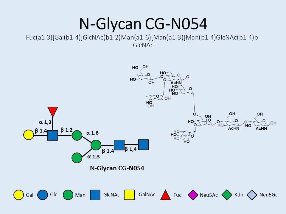 N-Glycan-CG-N054