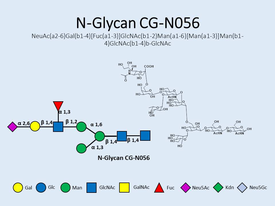 N-Glycan-CG-N056