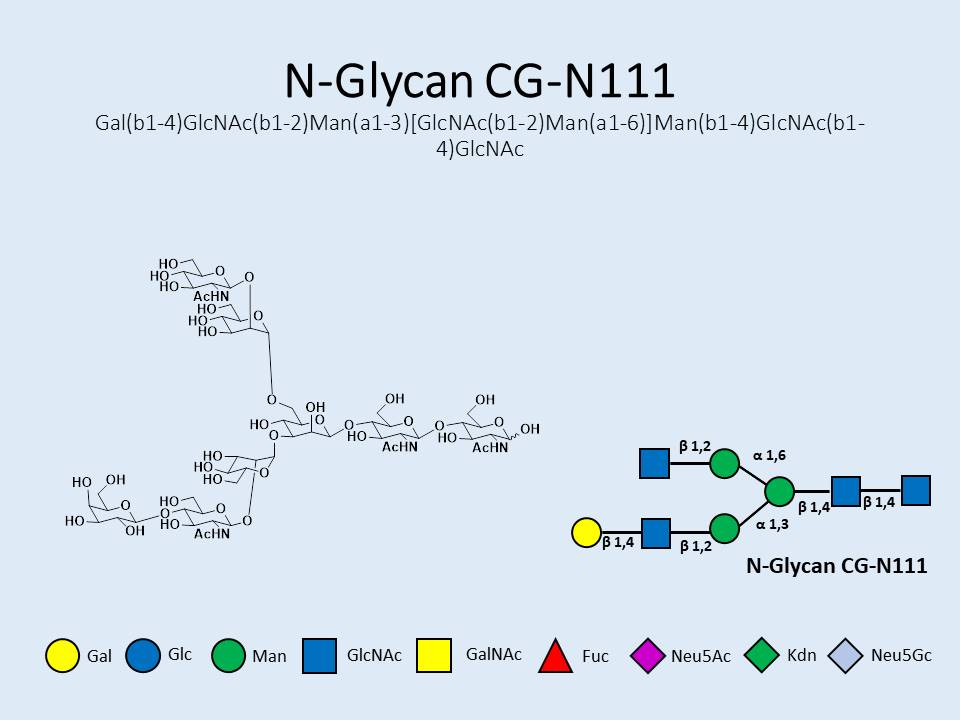 N-Glycan-CG-N111