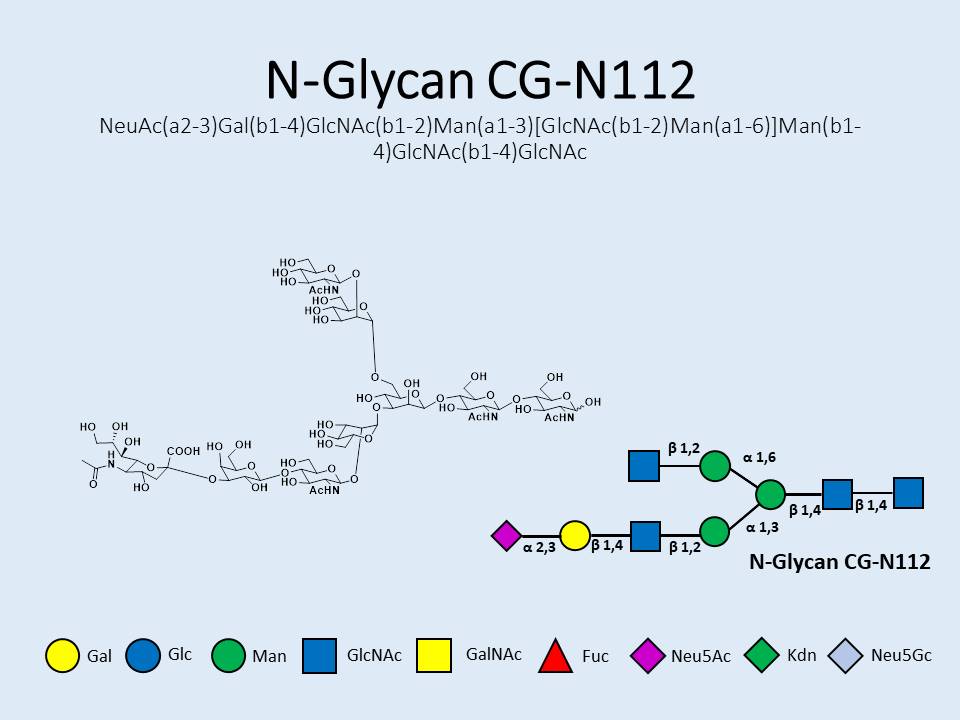 N-Glycan-CG-N112