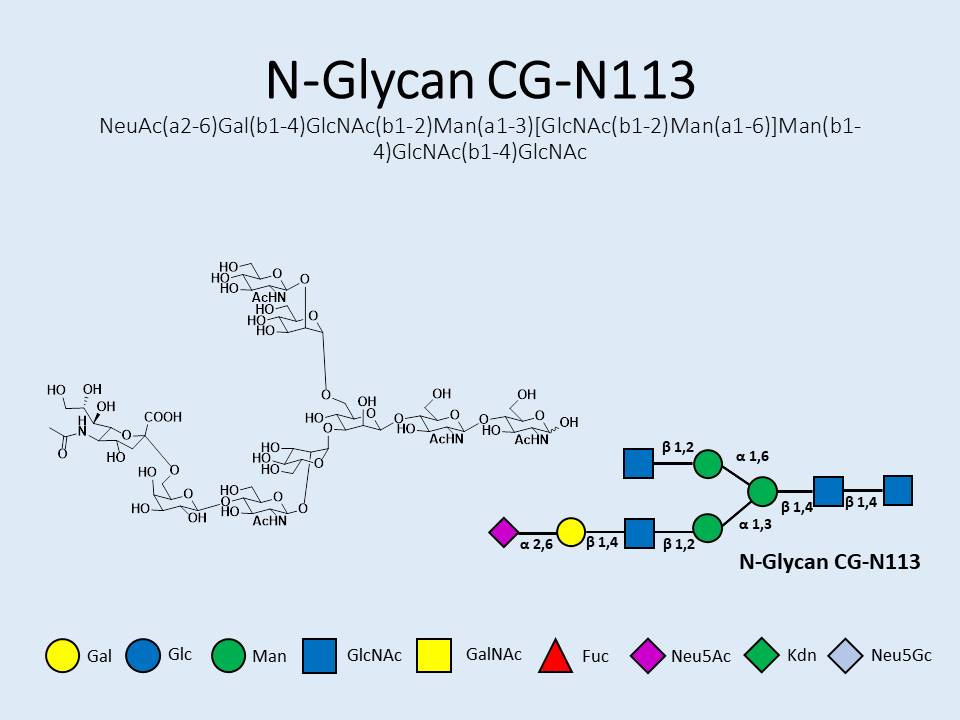 N-Glycan-CG-N113