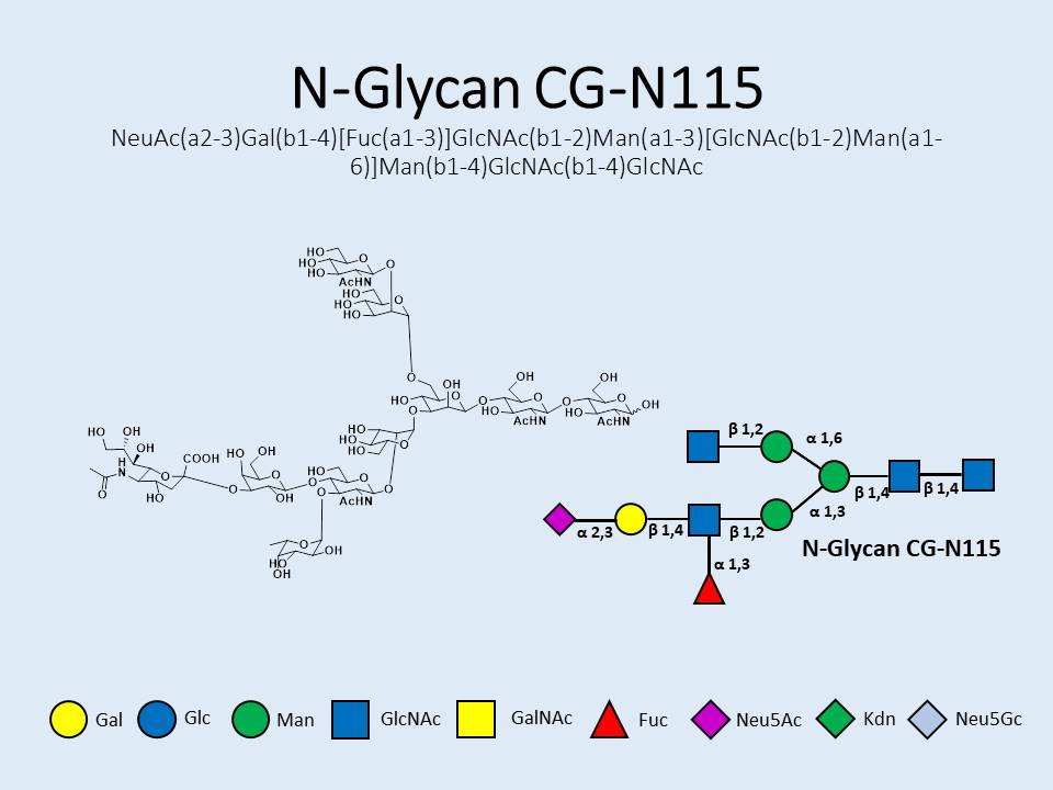 N-Glycan-CG-N115