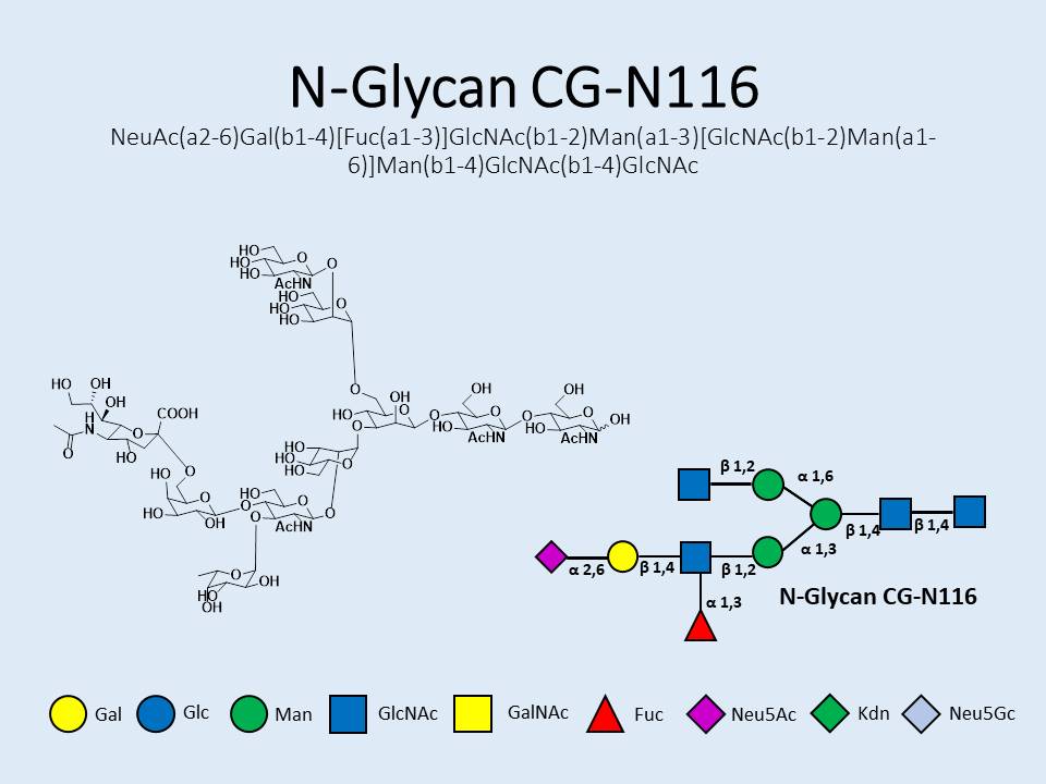 N-Glycan-CG-N116