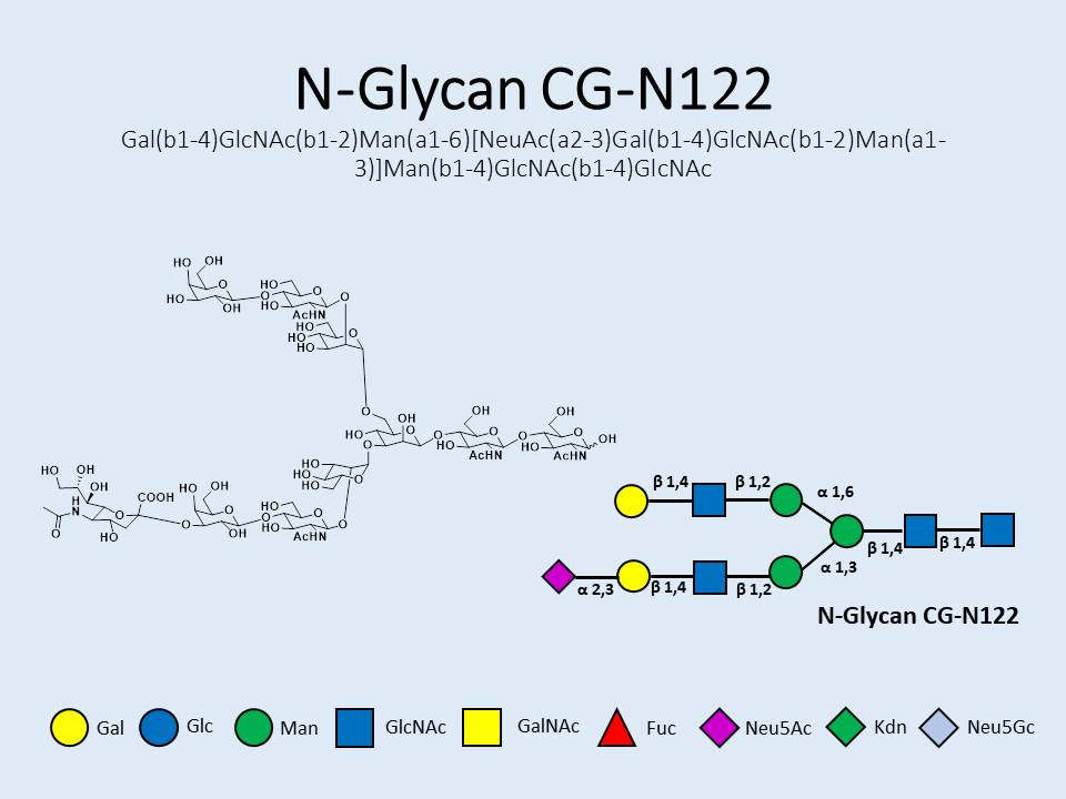 N-Glycan-CG-N122