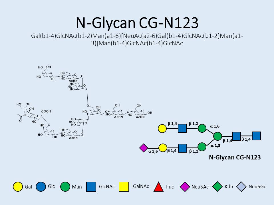 N-Glycan-CG-N123