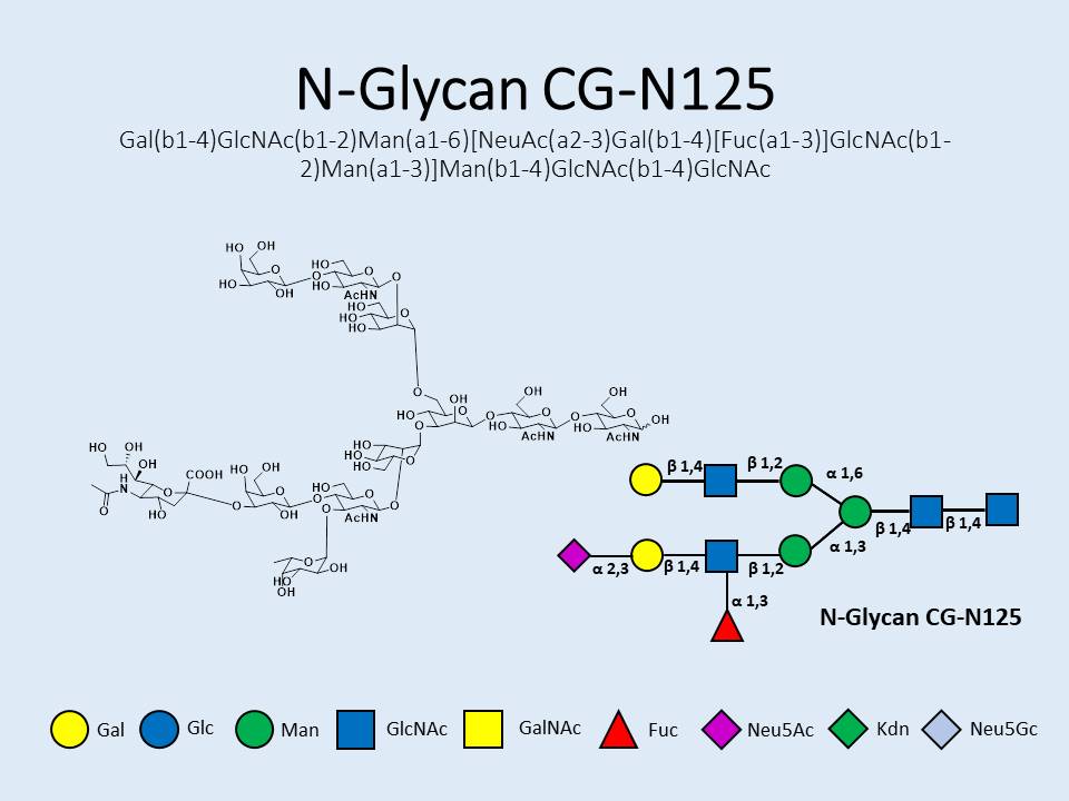 N-Glycan-CG-N125