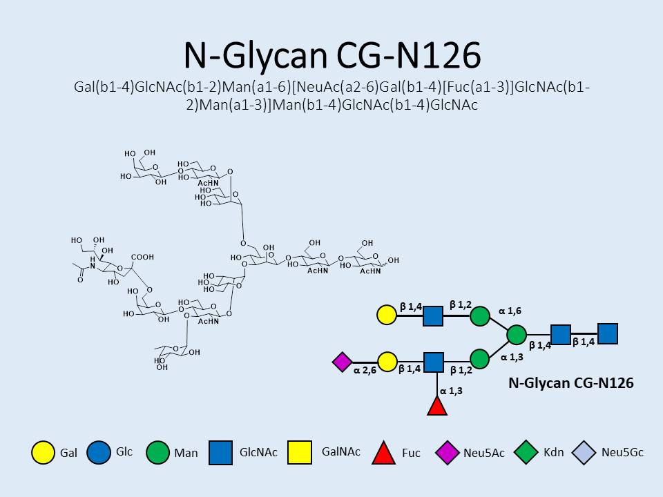 N-Glycan-CG-N126