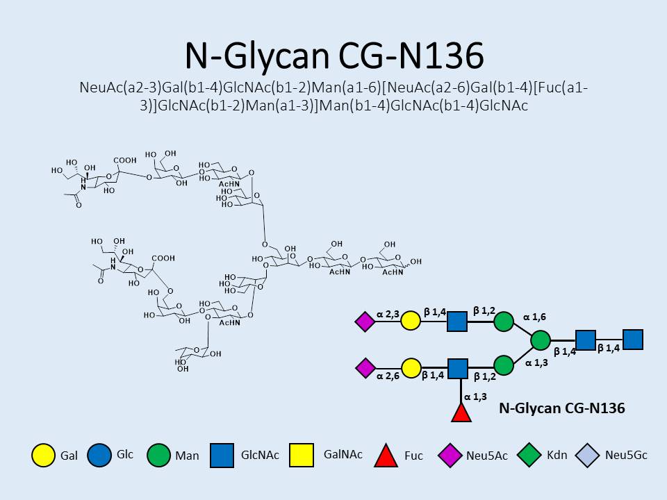 N-Glycan-CG-N136