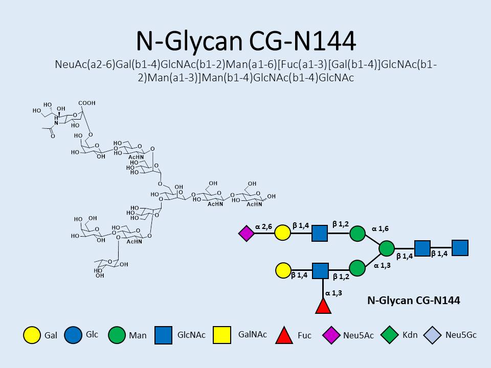 N-Glycan-CG-N144