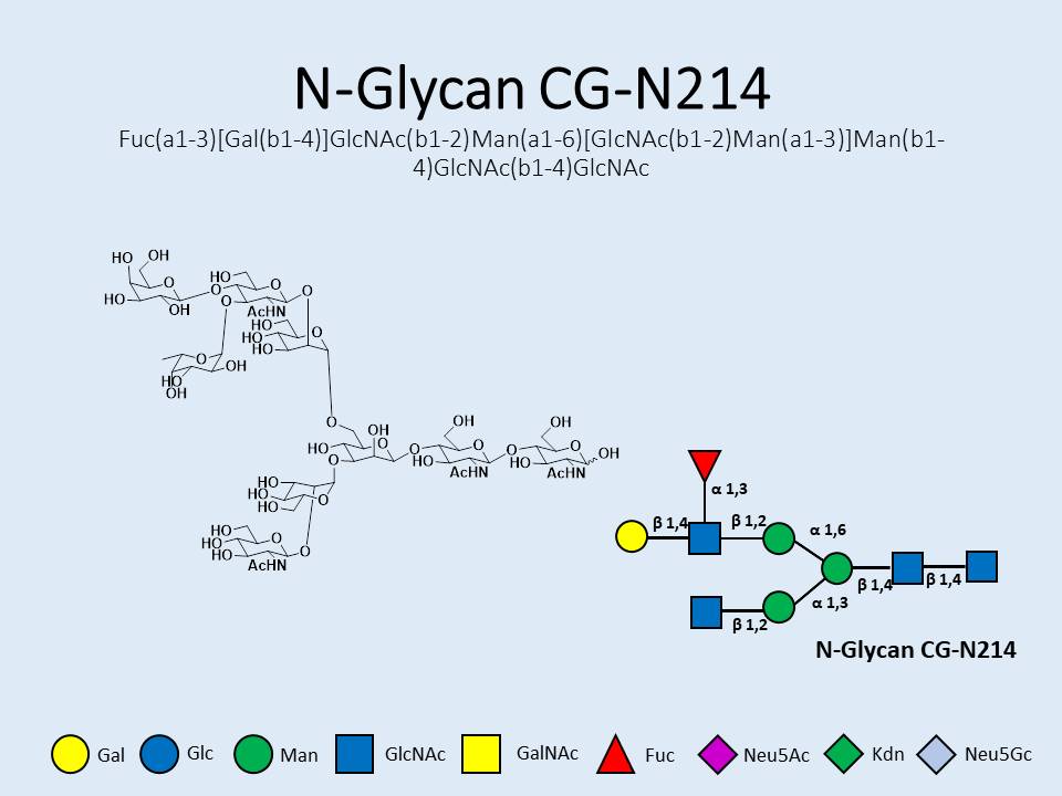 N-Glycan-CG-N214