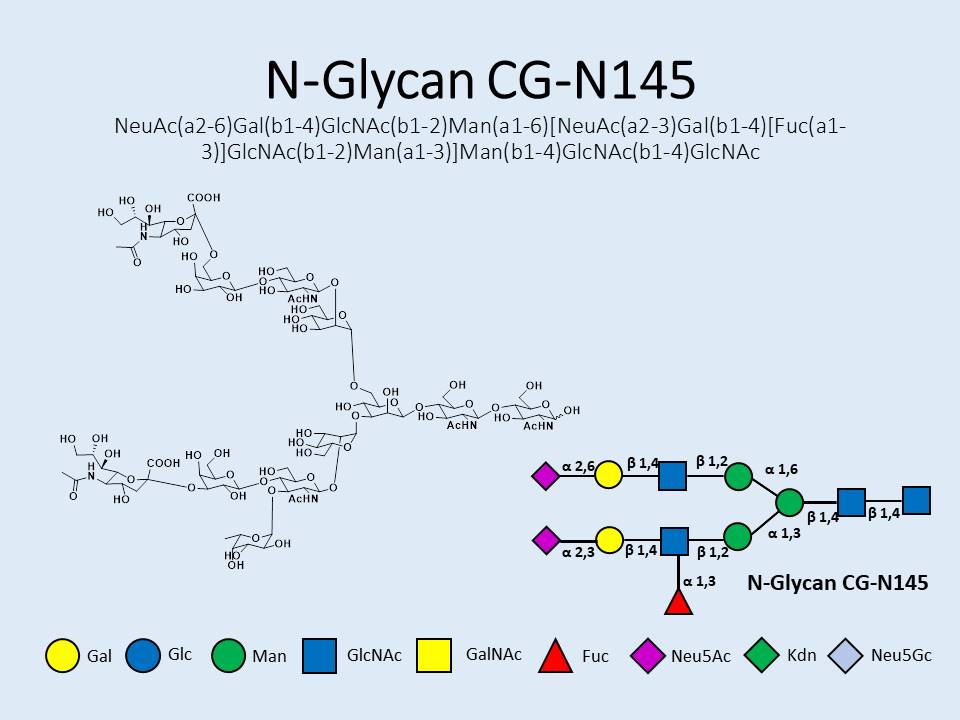 N-Glycan-CG-N145
