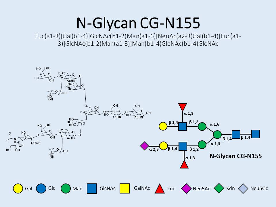 N-Glycan-CG-N155