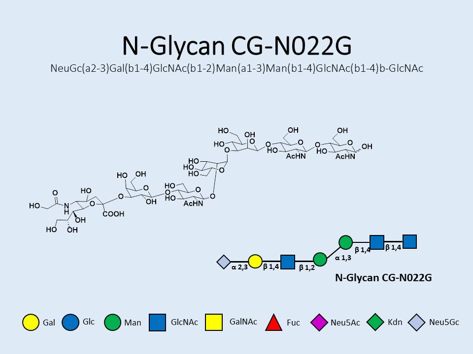 N-Glycan-CG-N022G