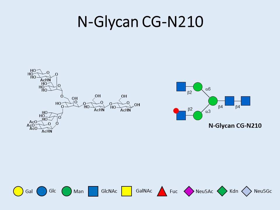 N-Glycan-CG-N210
