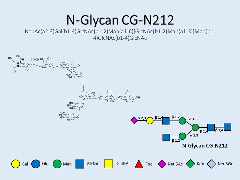N-Glycan-CG-N212