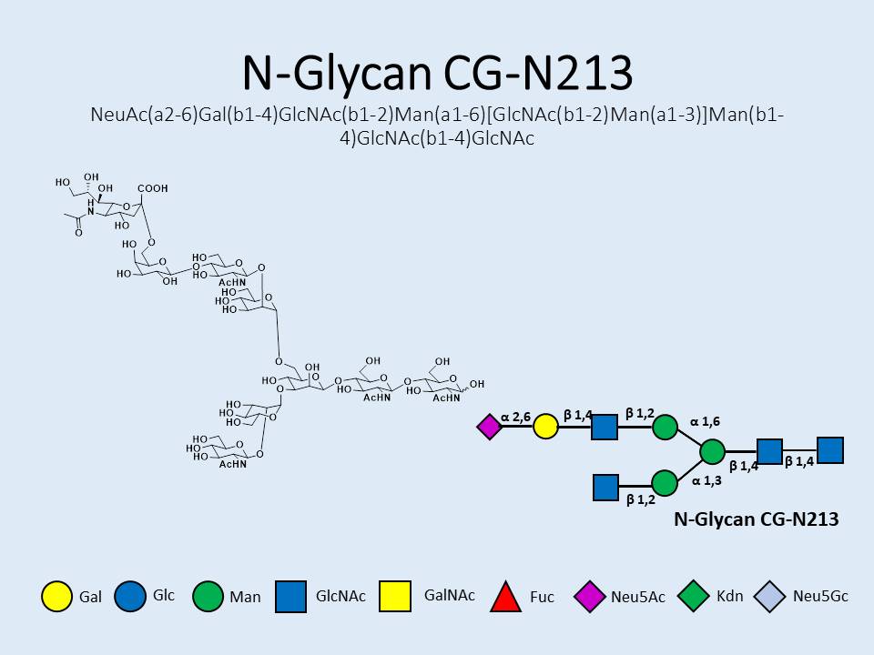 N-Glycan-CG-N213