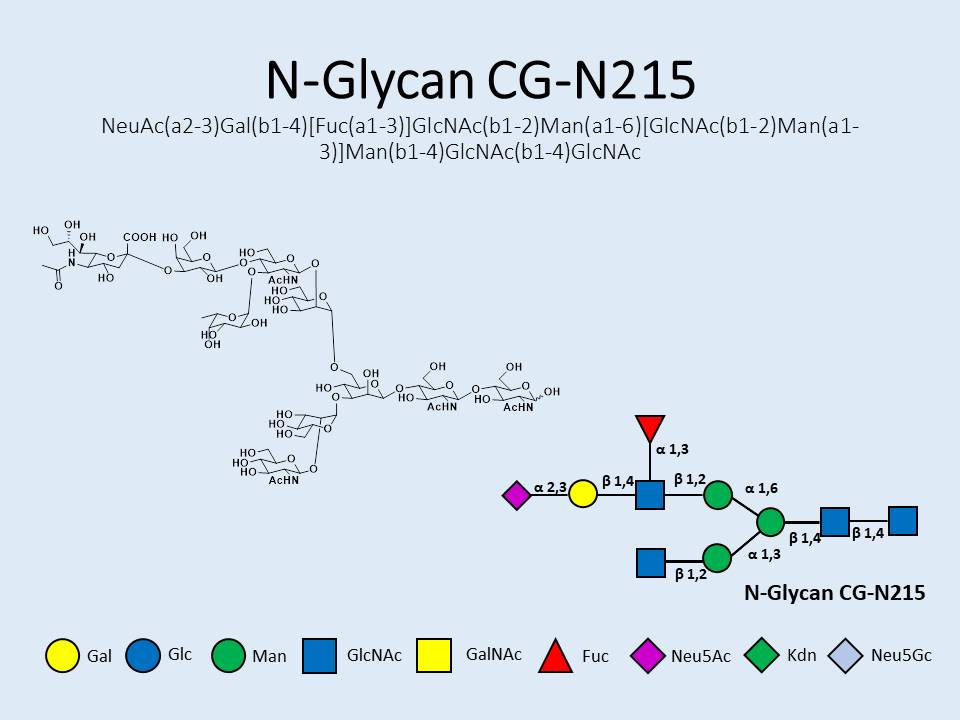 N-Glycan-CG-N215