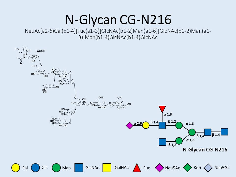 N-Glycan-CG-N216