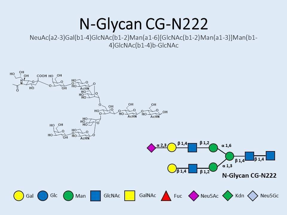 N-Glycan-CG-N222
