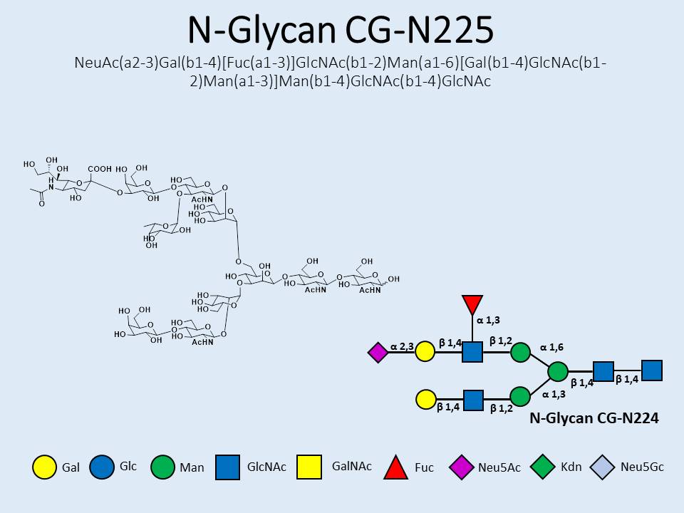 N-Glycan-CG-N225