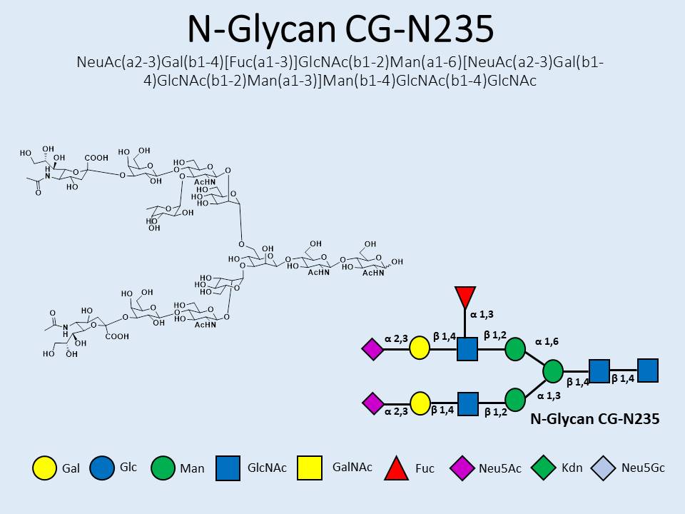 N-Glycan-CG-N235
