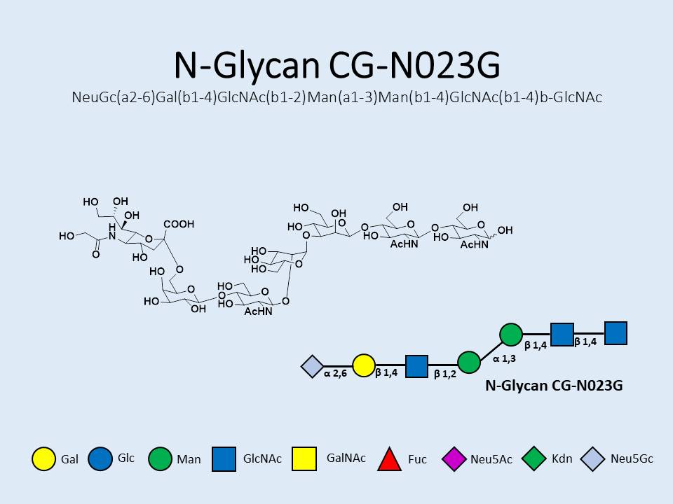N-Glycan-CG-N023G