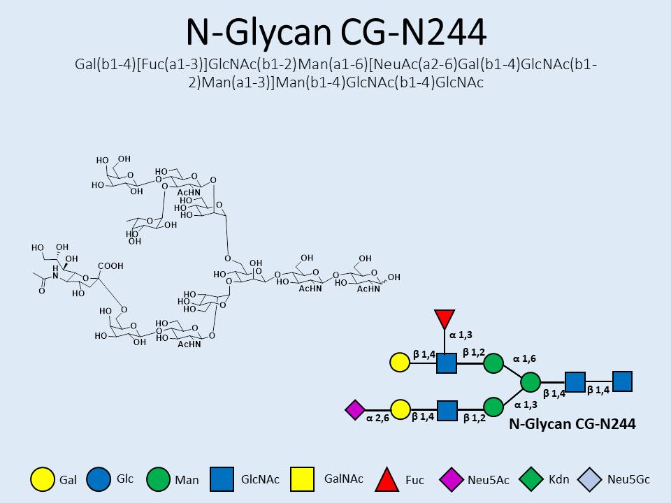 N-Glycan-CG-N244