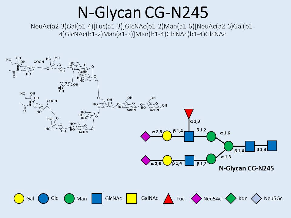 N-Glycan-CG-N245