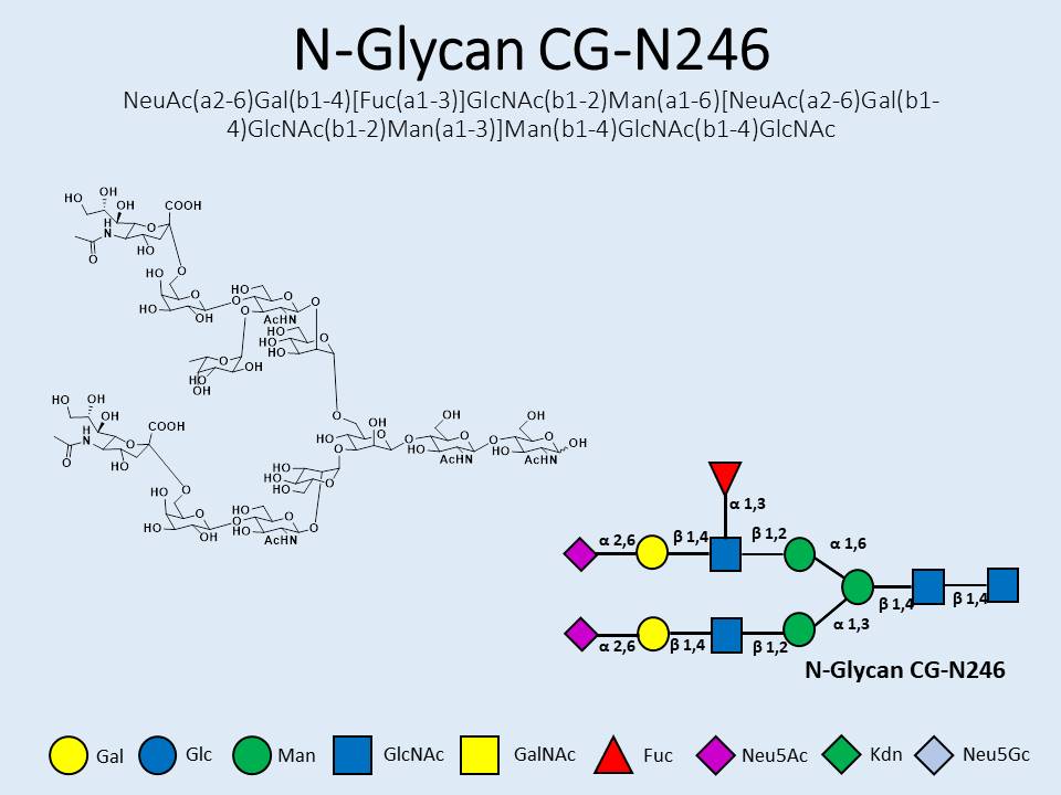 N-Glycan-CG-N246