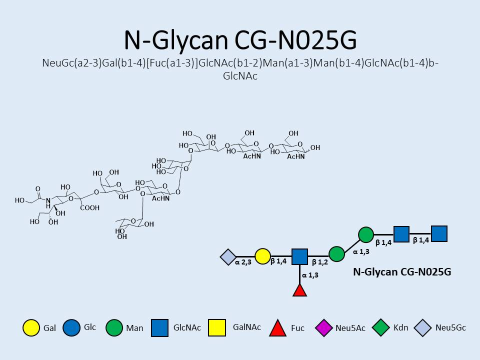 N-Glycan-CG-N025G