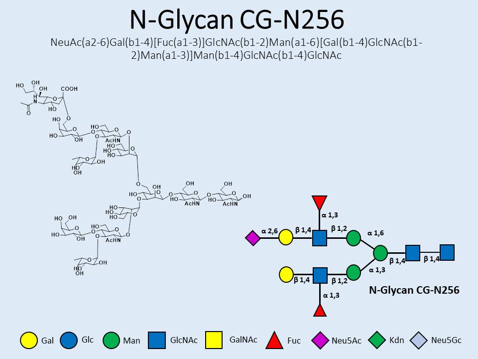 N-Glycan-CG-N256