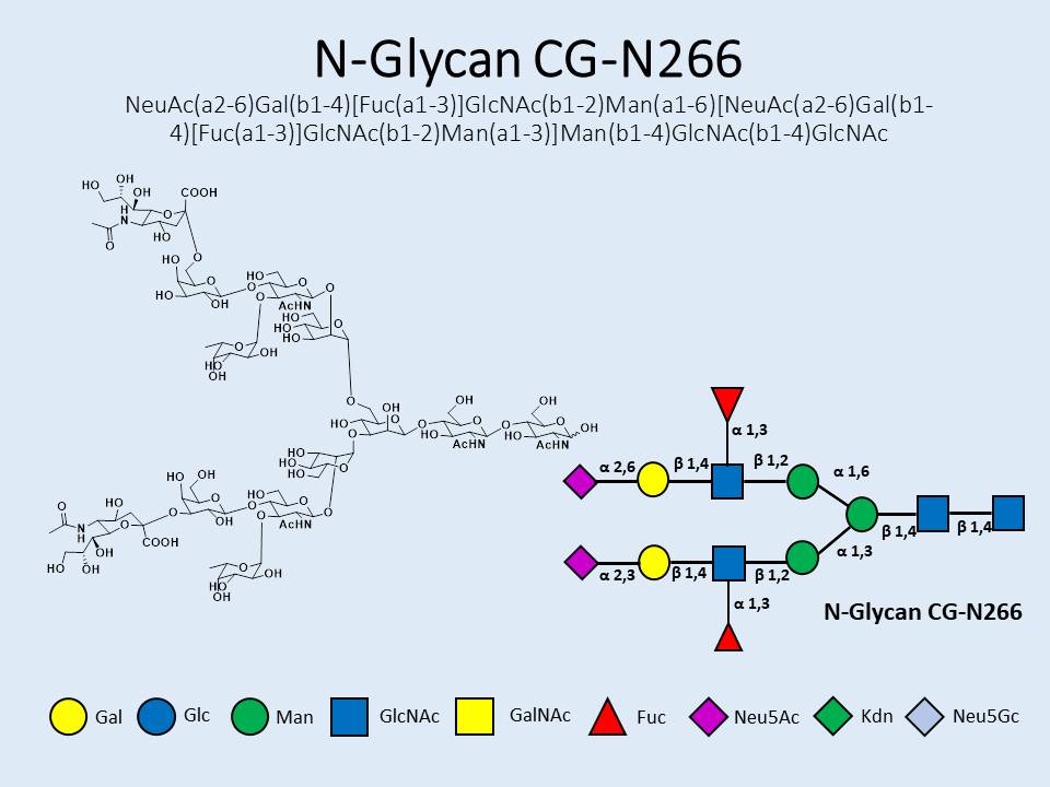 N-Glycan-CG-N266