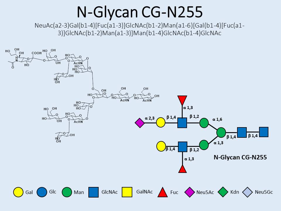 N-Glycan-CG-N255
