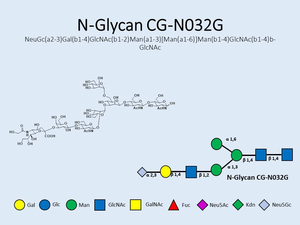 N-Glycan-CG-N032G