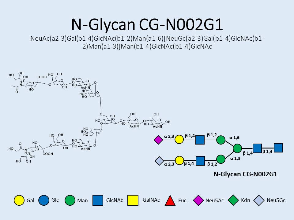 N-Glycan-CG-N002G1