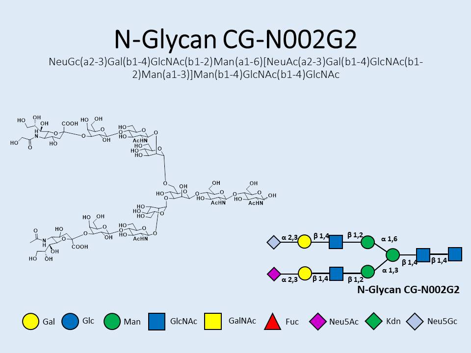N-Glycan-CG-N002G2