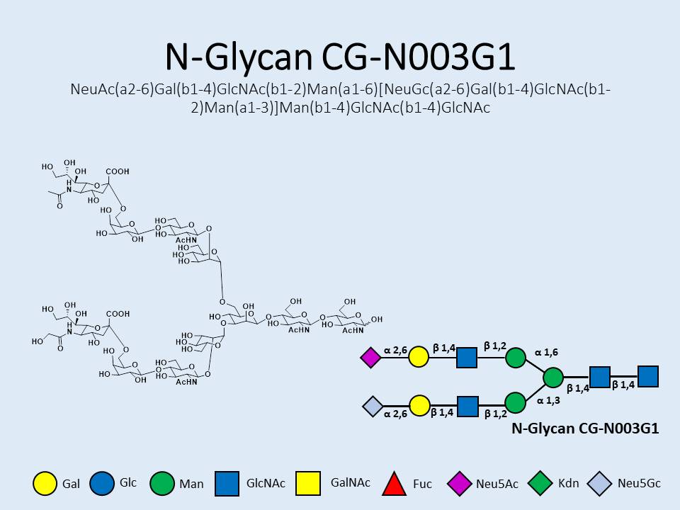 N-Glycan-CG-N003G1