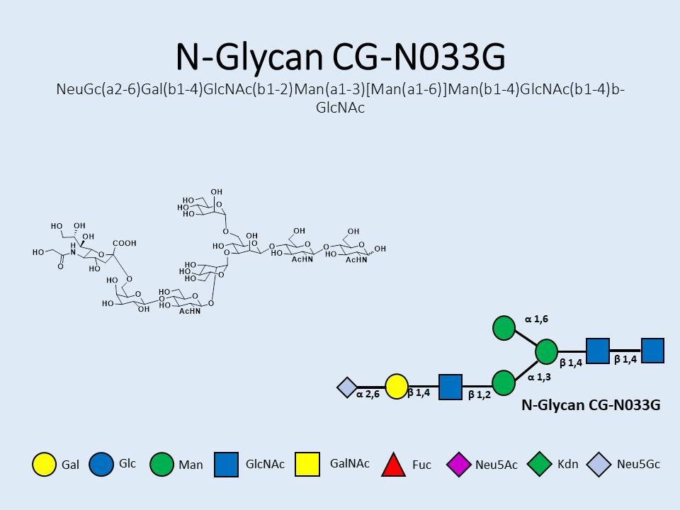 N-Glycan-CG-N033G