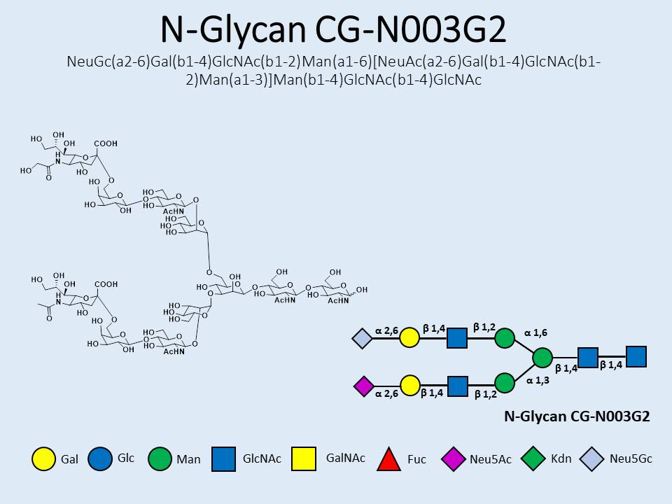 N-Glycan-CG-N003G2