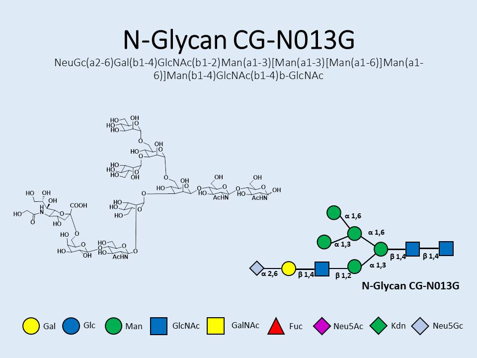 N-Glycan-CG-N013G