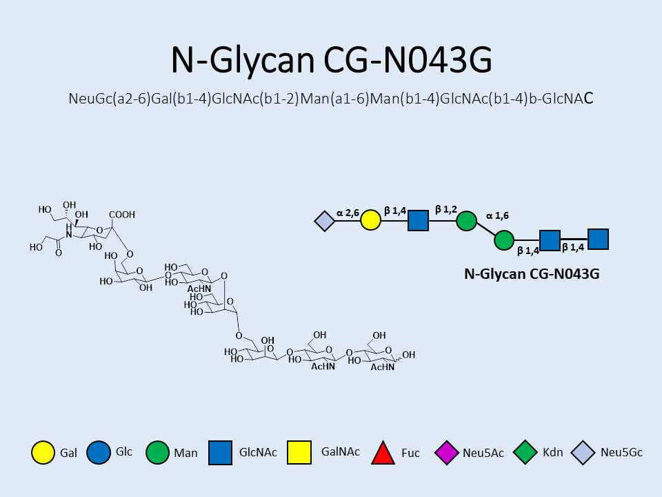 N-Glycan-CG-N043G
